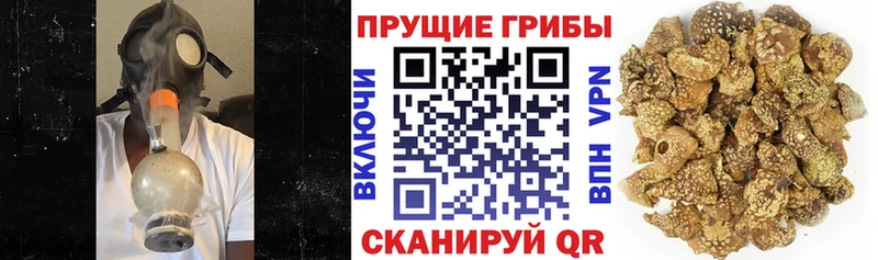 Псилоцибиновые грибы Psilocybe  Купить где  Белоярский 